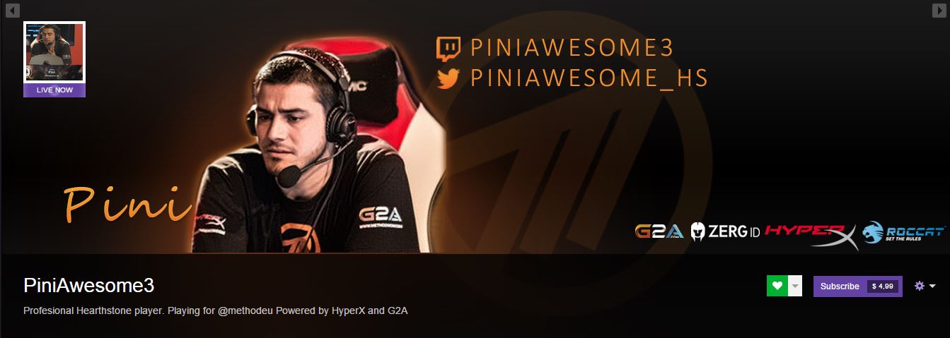Pini Twitch Banner Pini Twitch Banner