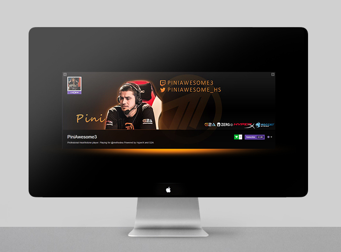 Twitch Profile Banner – Pini