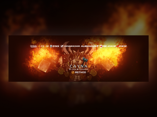Twitter Banner Design – Cayna